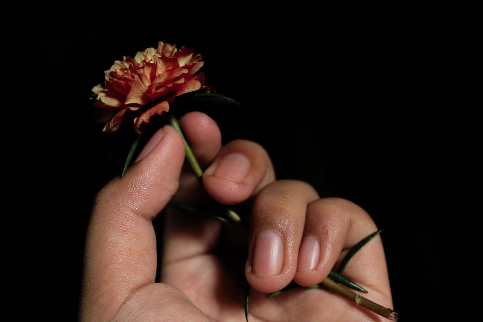 Hand holding small flower