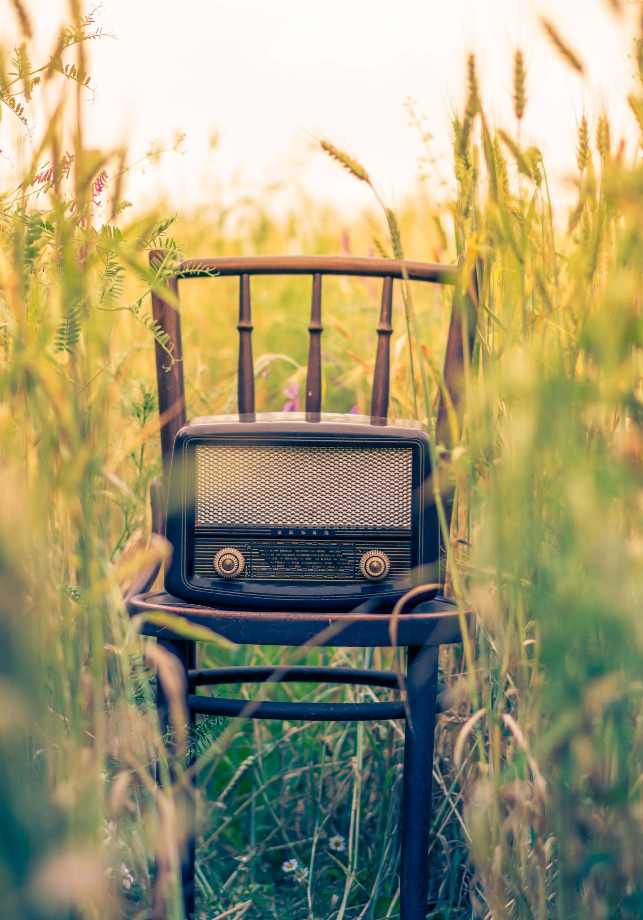 Radio on a chair in a field